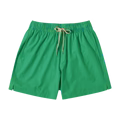 Stretch Swim Trunk